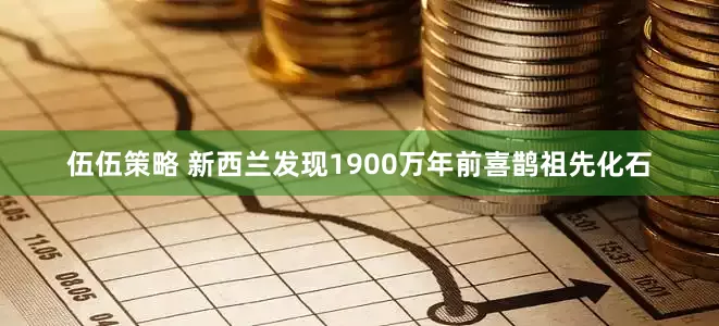 伍伍策略 新西兰发现1900万年前喜鹊祖先化石