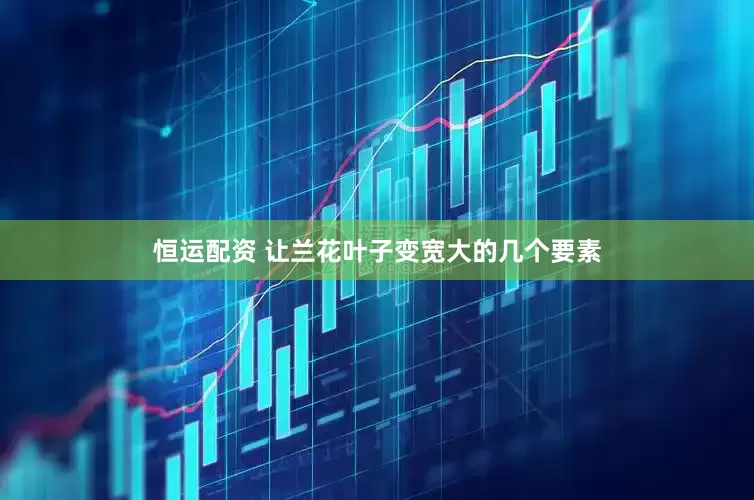 恒运配资 让兰花叶子变宽大的几个要素