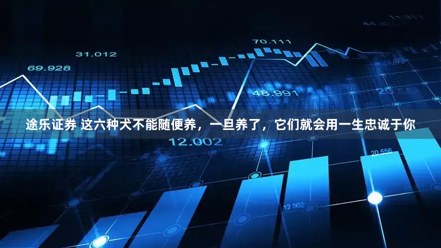 途乐证券 这六种犬不能随便养，一旦养了，它们就会用一生忠诚于你